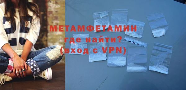 индика Богородицк